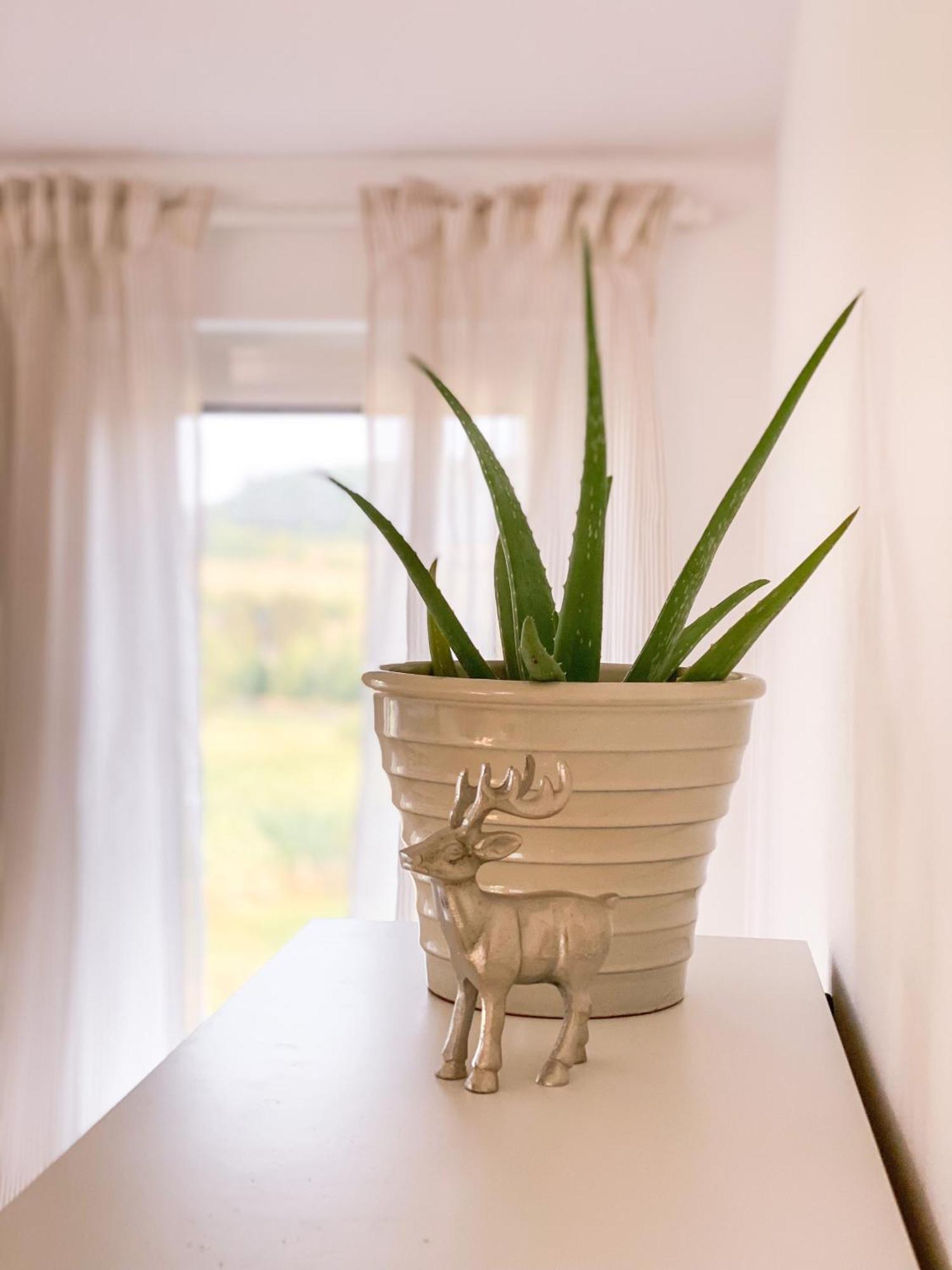 Ferienwohnung Eifelglueck Kruchten 外观 照片